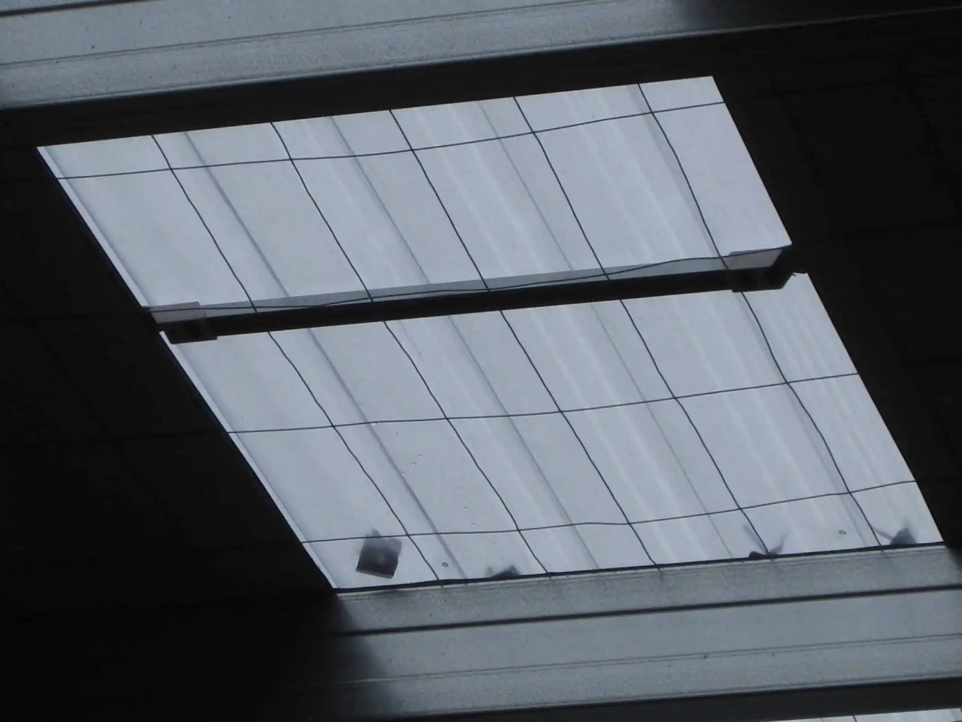Looking up at a translucent skylight with safety mesh in a commercial roof.